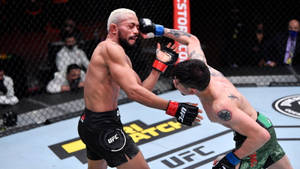 兩名MMA拳手在UFC八角籠中比賽時互相出拳。