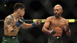 兩名MMA拳手在八角籠中進行UFC比賽。
