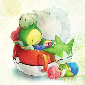 兩隻喺精靈球茶杯入面瞓覺嘅Pokémon，附近有朵玫瑰。 — 可愛寵物小精靈 壁紙