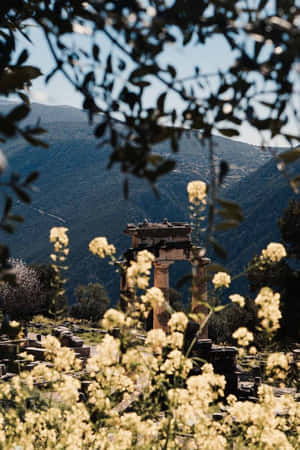 古老石頭遺跡被黃色花朵環繞，並由樹枝框住。 — 黃色 壁紙