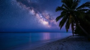 夜間熱帶海灘上空的銀河系與棕櫚樹