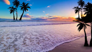 熱帶海灘上的夕陽，有棕櫚樹和拍岸的海浪
