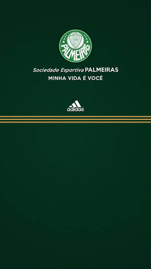 帕爾梅拉斯足球俱樂部標誌，帶有Adidas品牌，置於深綠色紋理背景上。