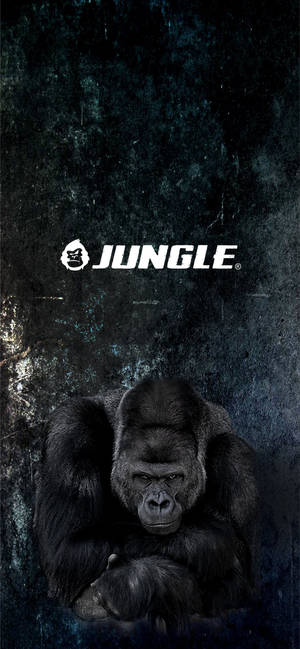 一隻眼神強烈的大猩猩，背景為深色紋理，帶有「JUNGLE」標誌。