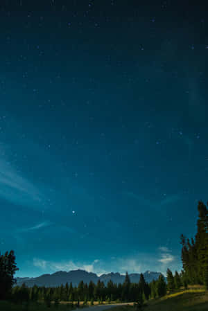 繁星點點的夜空，極光映照著山脈和松樹。