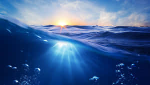 夕陽光線穿過海浪，氣泡在水下浮動。