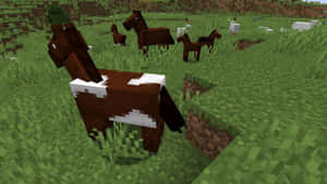 棕色像素化馬匹在草地Minecraft田野中吃草。 — 我的世界 壁紙