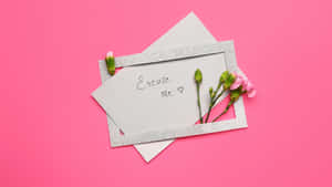 銀框便條寫著「Excuse Me」，配以粉紅色花朵，背景為粉紅色。 — 粉紅花朵 壁紙