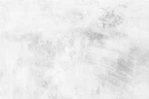 帶有筆觸痕跡的紋理白色和灰色混凝土牆。 — 純色 壁紙
