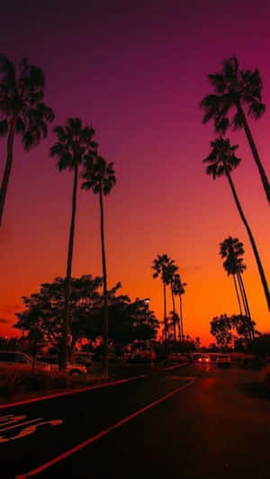 棕櫚樹在街道上停泊的汽車上方，以熾熱的日落為背景形成剪影。 — 沙灘 壁紙