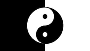 黑白陰陽符號置於分割背景上