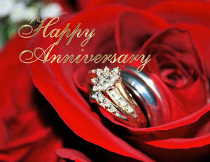 兩枚結婚戒指依偎在紅玫瑰中，帶有「Happy Anniversary」文字。