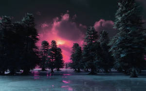 白雪覆蓋的松樹映照出充滿活力的粉紅色和紫色黃昏天空。