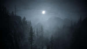 月光照耀的山林，夜晚有霧和松樹。