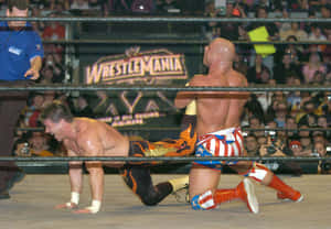 兩名摔角手在WrestleMania的職業摔角比賽中交戰。