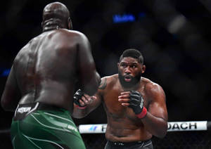 UFC比賽中，兩名MMA拳手在鐵籠內專注的表情。