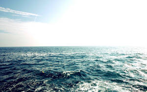 陽光在晴朗天空下的海洋波浪上閃爍。 — 海洋 壁紙