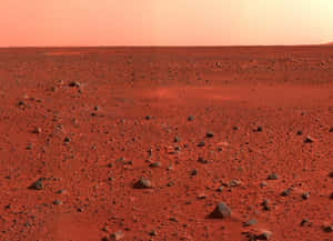 橙色天空下的紅色岩石火星地形 — 火星 GIF 壁紙