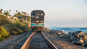 日落時分，火車在海岸軌道上，有海洋和棕櫚樹