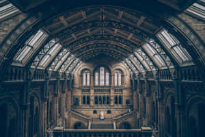 建築背景 — 建築 壁紙