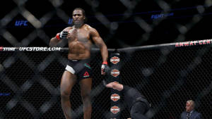 比賽後站在八角籠中的UFC拳手