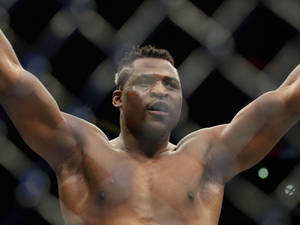 一位勝利的MMA拳手在籠內高舉雙臂。