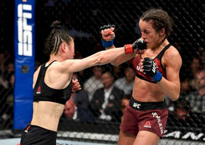 兩名女性MMA拳手在八角籠中交換拳擊。 — 動漫打鬥 壁紙