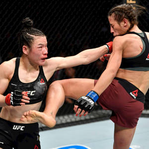 兩名女性MMA拳手在鐵籠賽中交換高踢和防守阻擋。 — 動漫打鬥 壁紙