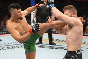 兩名男性拳手在MMA鐵籠賽中交換高踢和阻擋。