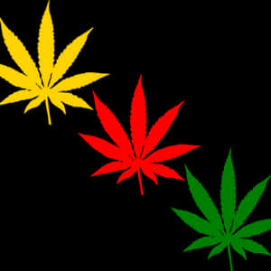大麻葉剪貼畫