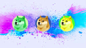 三個風格化的Doge面孔在彩色圓圈中，背景為水彩畫。