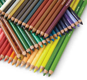 白色背景上，色彩繽紛的Prismacolor鉛筆對角線扇形排列，筆尖鋒利。 — 純色 壁紙