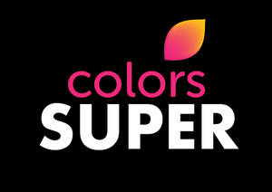 標誌包含文字「顏色SUPER」和漸變葉子，背景為黑色。