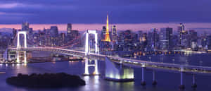 黃昏時分的東京天際線，彩虹橋和東京塔在水面上亮起。 — 東京卍復仇者 壁紙