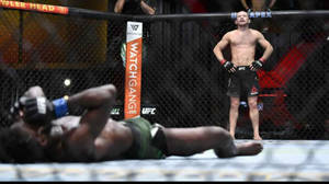 MMA拳手在八角籠內勝利地站在倒下的對手之上。