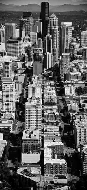 密集城市的高空黑白照片，高樓大廈和背景的山脈。 — iPhone 15 Pro 壁紙
