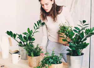 女士在明亮的房間裡將盆栽植物擺放在木桌上。