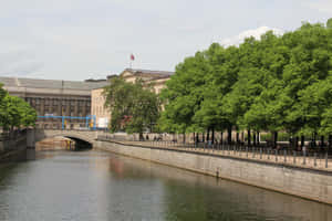 在陽光明媚的日子裡，一條河流流經一座歷史建築，河岸邊有樹木。