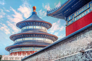 藍色瓷磚的中國寺廟，金色頂部，旁邊是紅牆，在明亮的天空下。 — 花園牆外 壁紙