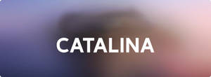 在柔和的紫粉漸變背景上，以粗體白色文字顯示 catalina。