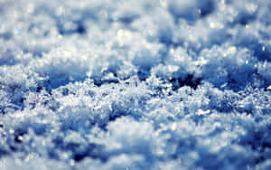 雪花在陽光下閃閃發光的特寫。 — 冰 GIF 壁紙