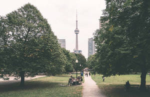 人們在公園裡放鬆，遠處可見CN塔。