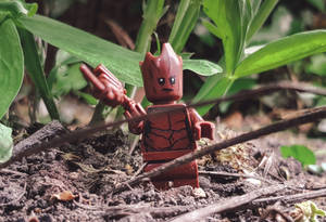 LEGO Groot人仔喺泥土入面，周圍有綠色植物