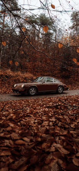 酒紅色經典汽車停泊在鋪滿秋葉的林間道路上。 — 復古gif 壁紙