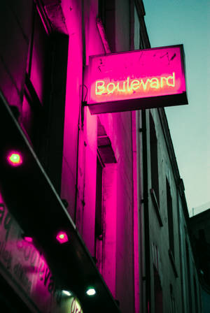 寫著Boulevard的粉紅色霓虹燈牌在夜間照亮城市建築。