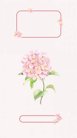 粉紅色繡球花與綠葉，由極簡粉紅色矩形框在奶油色背景上。