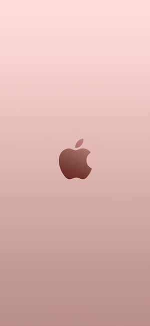Apple標誌置於玫瑰金漸變背景中央