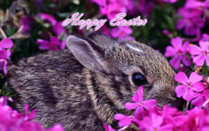 可愛的兔子被粉紅色花朵包圍，並有Happy Easter文字。 — 復活節 壁紙