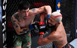 兩名男性MMA拳手在八角籠內於比賽中互相出拳。