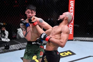 兩名MMA拳手在比賽中於UFC八角籠內纏鬥。
